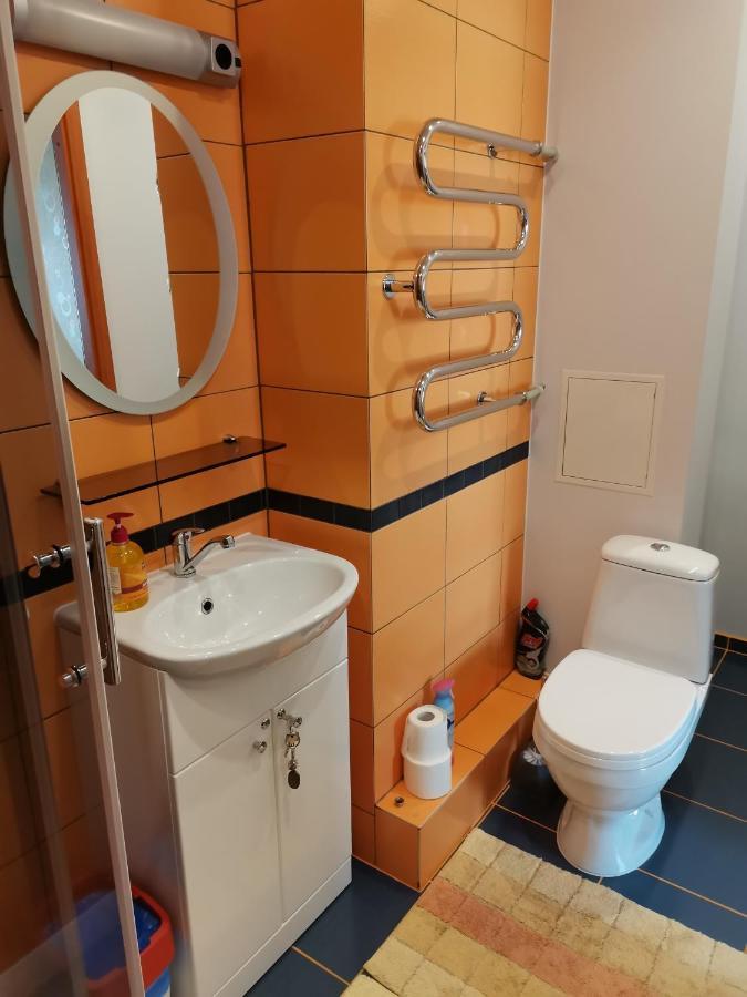 Sunny Apartment Kėdainiai 外观 照片